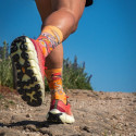 TRAIL ULTRA HIGH "Belle Île" Socks - Collector DBDB