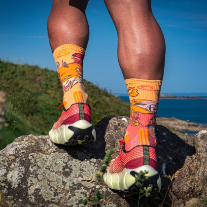 TRAIL ULTRA HIGH "Belle Île" Socks - Collector DBDB